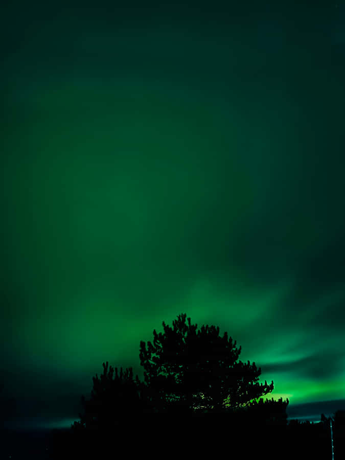 Emerald Night Sky Aurora Wallpaper
