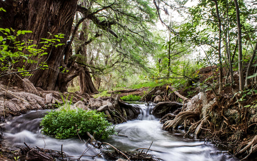 Empty White Room Wallpaper