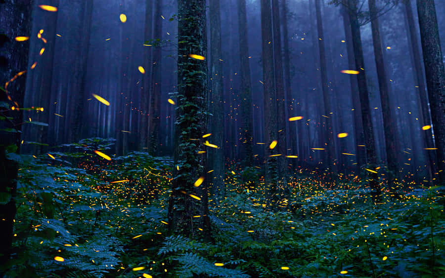 Enchanted Forest Lightning Bugs Wallpaper