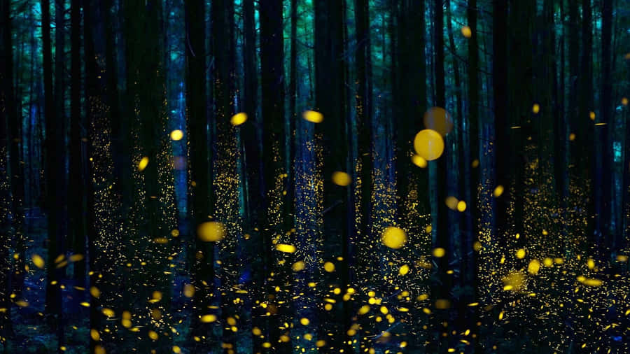 Enchanted Forest Lightning Bugs Wallpaper