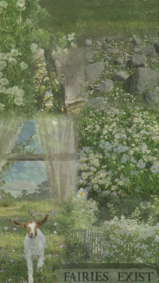 Enchanted_ Garden_ Fairy_ Grunge_ Aesthetic.jpg Wallpaper