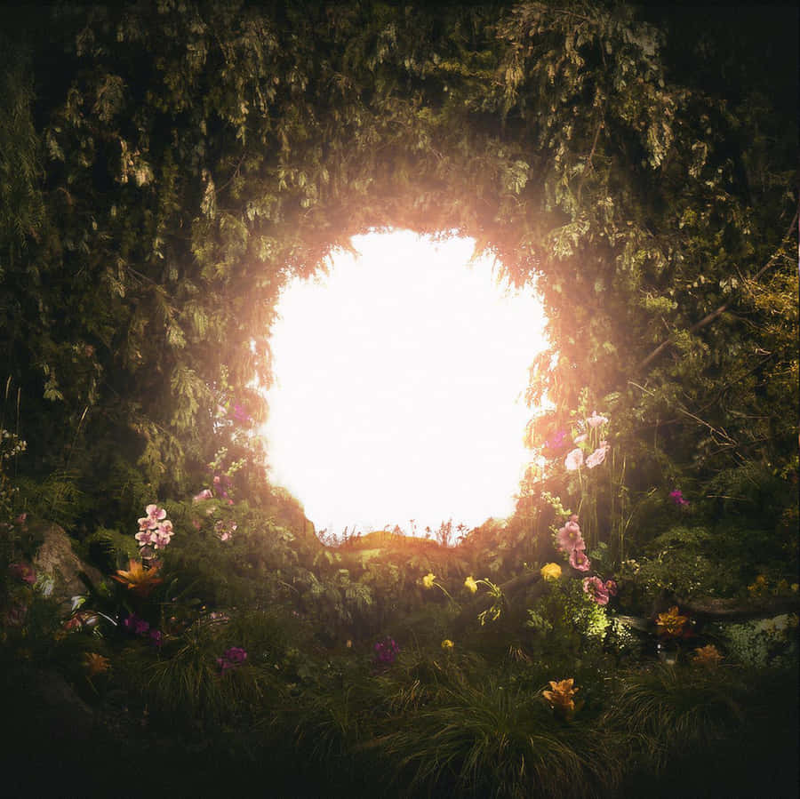 Enchanted_ Garden_ Portal Wallpaper