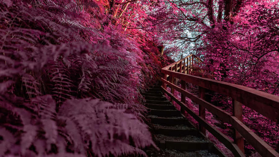 Enchanted Pink Forest Pathway Wallpaper