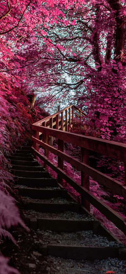 Enchanted Pink Forest Pathway Wallpaper