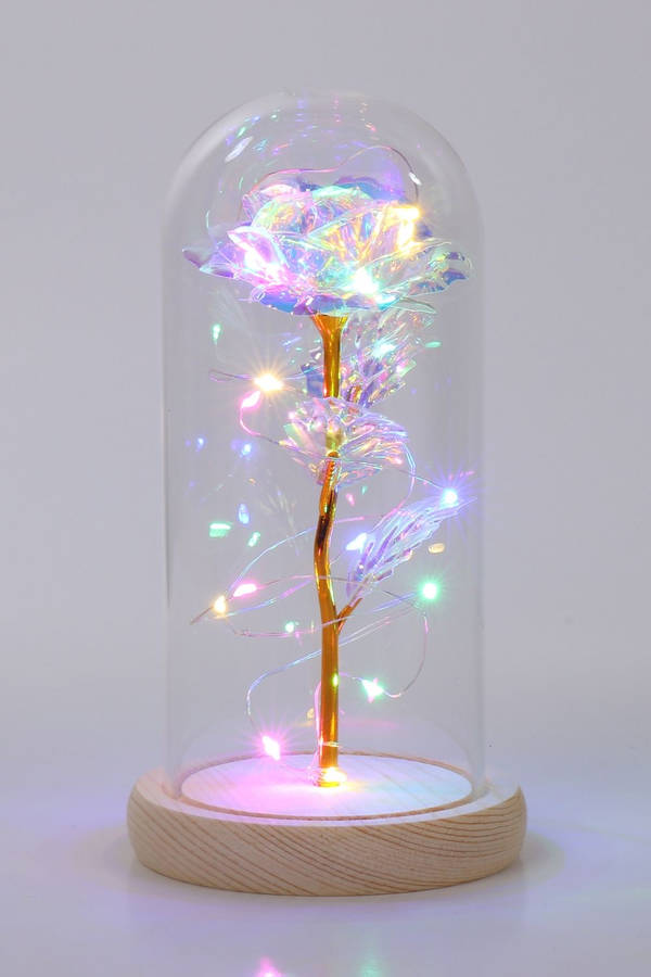 Enchanting Artificial Purple Rose In Glass Dome Wallpaper