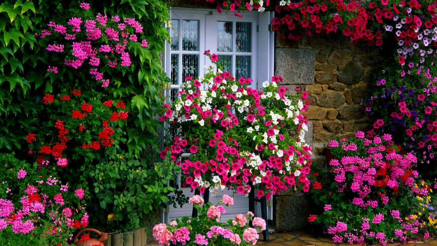 Enchanting Cottage Garden In Full Bloom Wallpaper