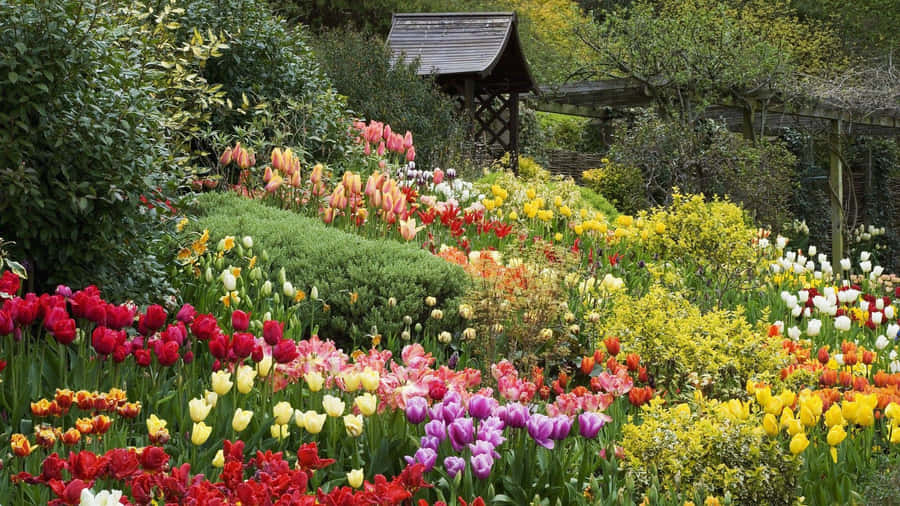 Enchanting Cottage Garden In Full Bloom Wallpaper