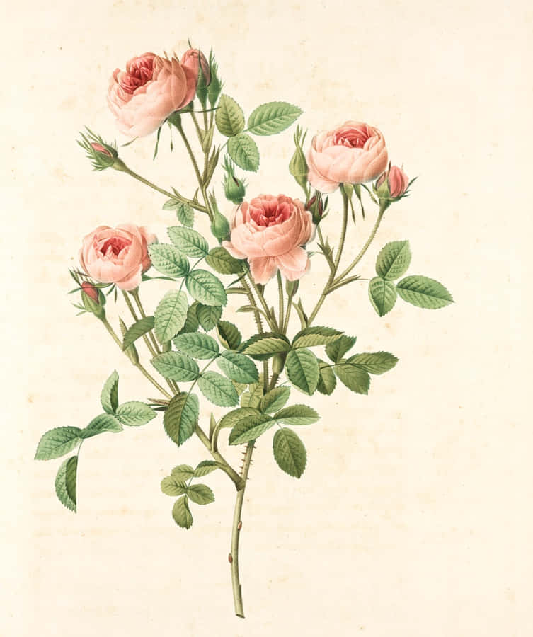 Enchanting Floral Art Composition Wallpaper