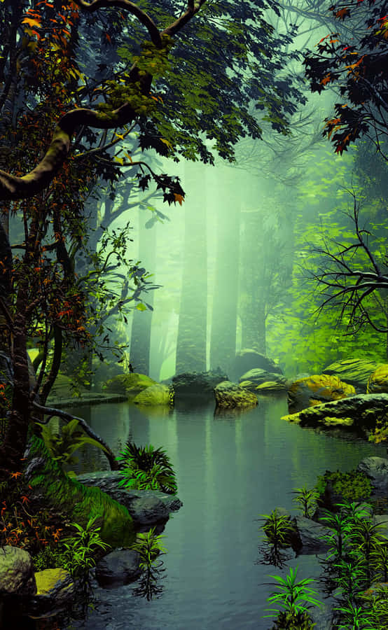 Enchanting Forest Nature Android Hd Wallpaper