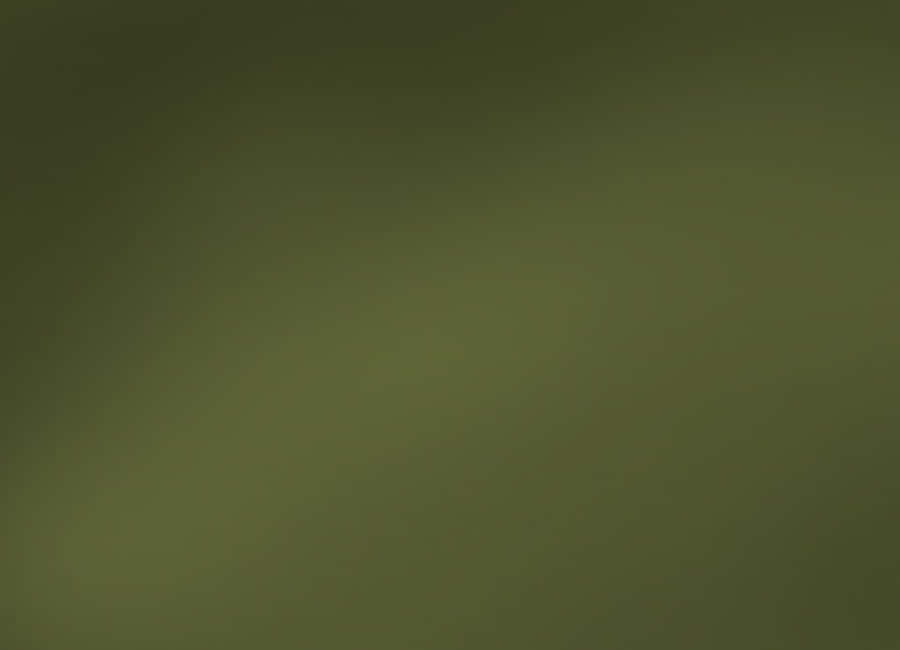 Enchanting Olive Green Landscape Wallpaper