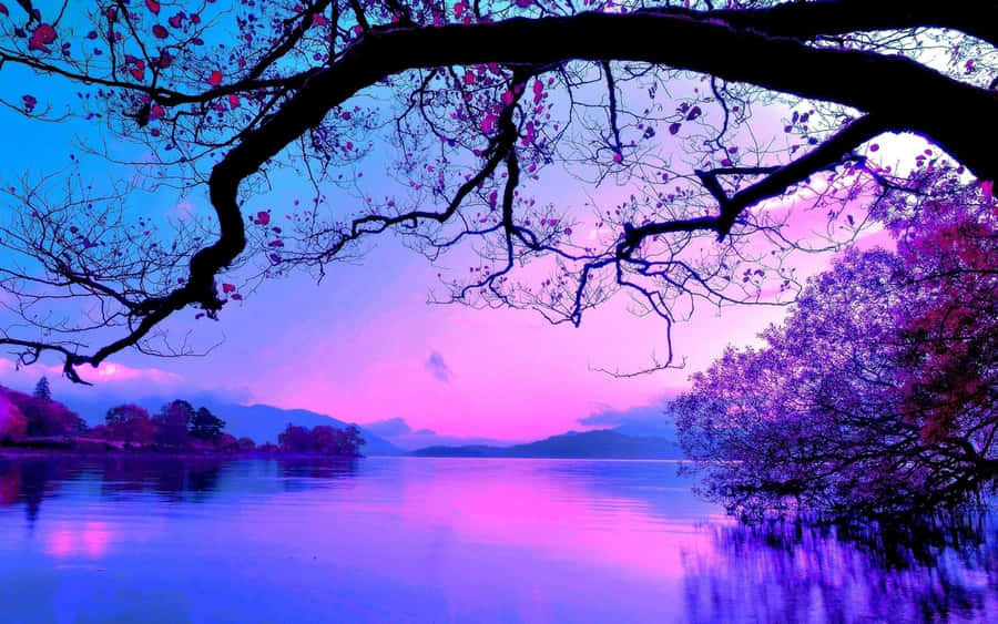 Enchanting Purple Sunset Wallpaper