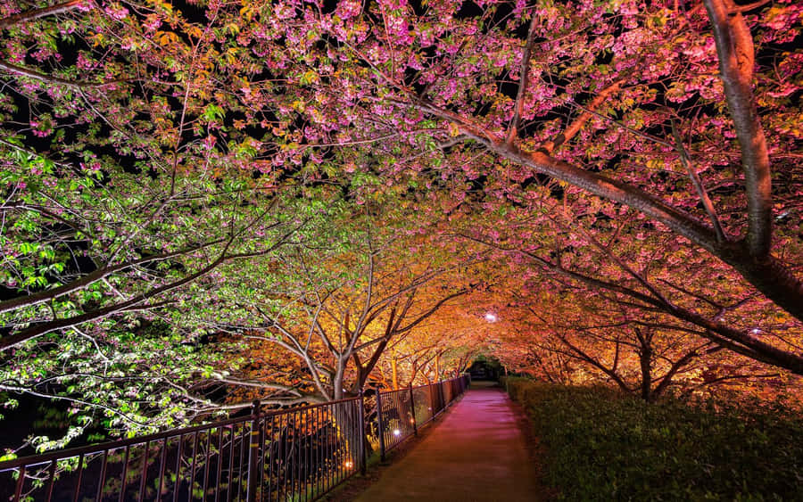 Enchanting Spring Lights At Dusk Wallpaper