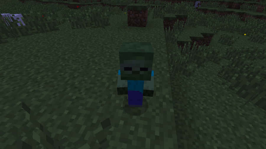 Encounter With A Minecraft Zombie Wallpaper