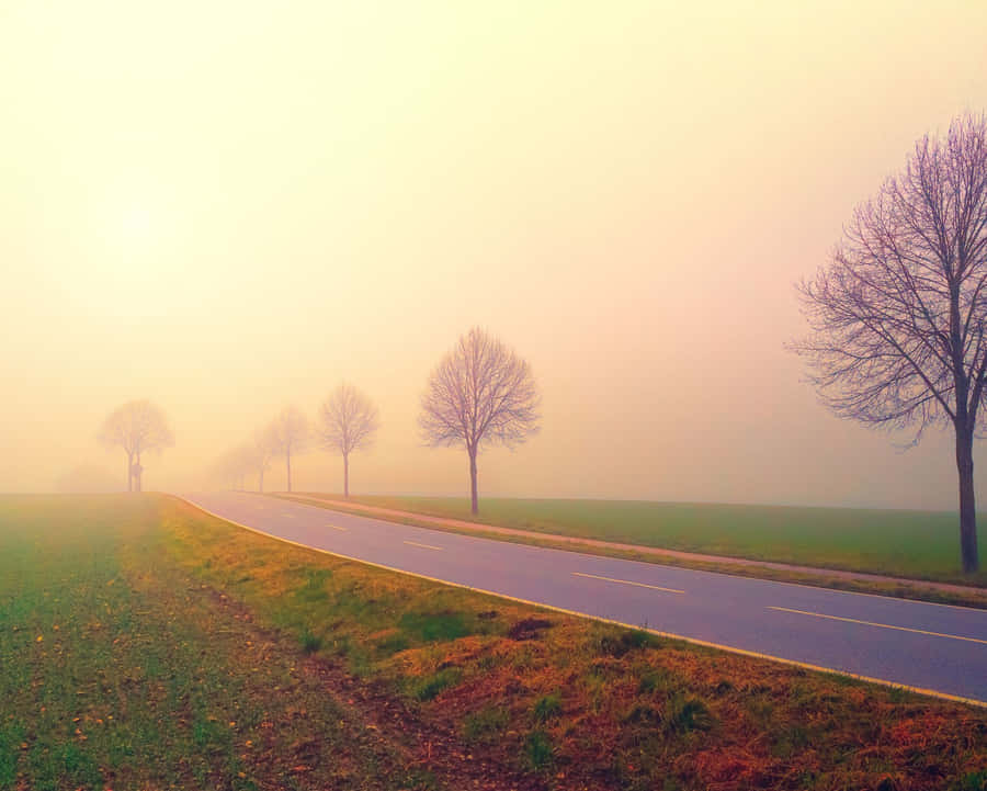 Endless Horizon Of Rolling Hills And Luscious Green Trees Wallpaper