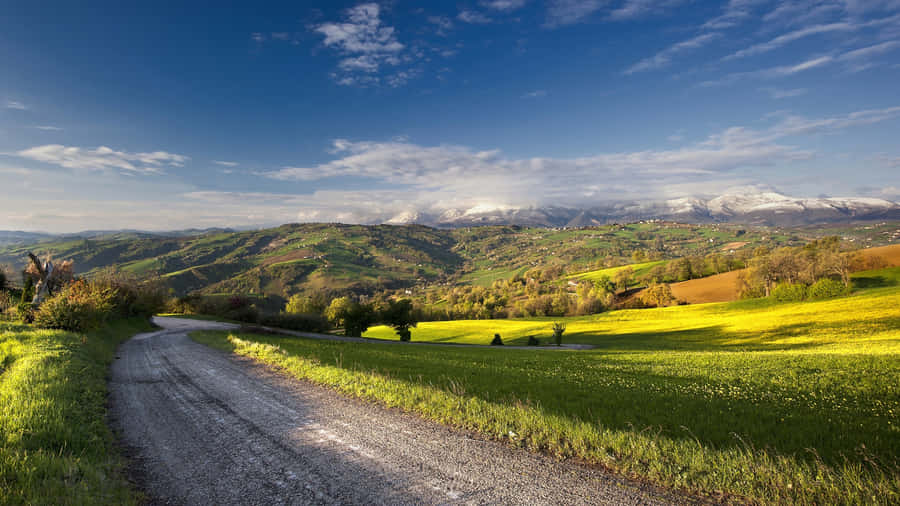 English Countryside Winding Road Landscape In Summer Wallpaper