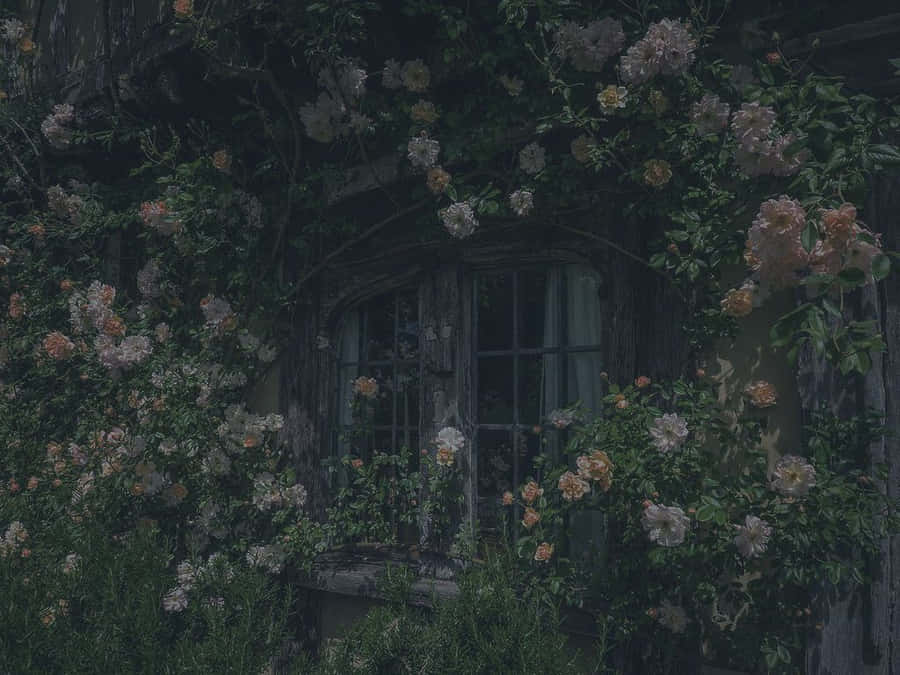 Enigmatic_ Floral_ Cottage_ Window.jpg Wallpaper