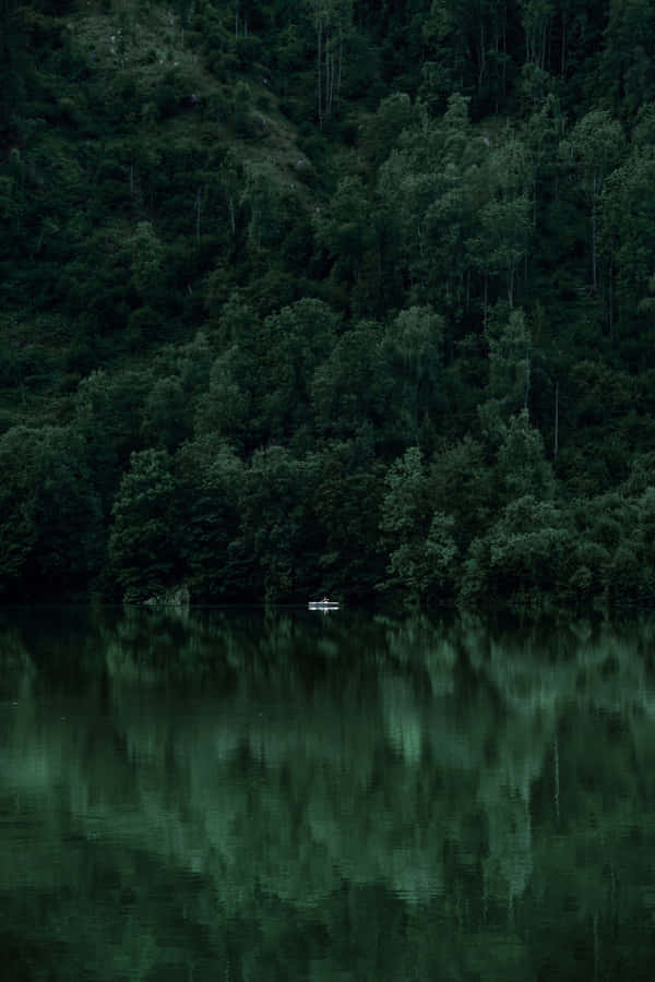 Enigmatic Forest Lake Reflection Wallpaper