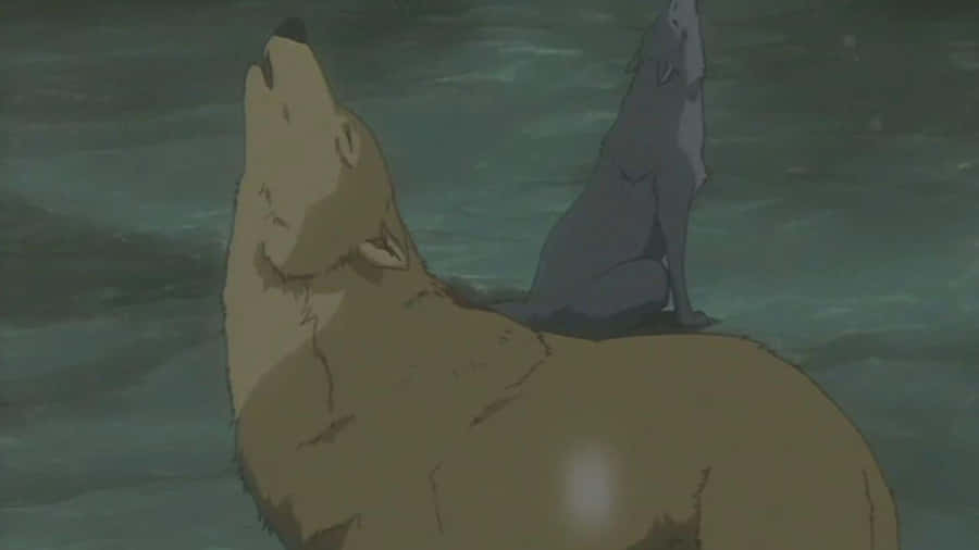 Enigmatic Hige From Wolf's Rain With Piercing Eyes Wallpaper