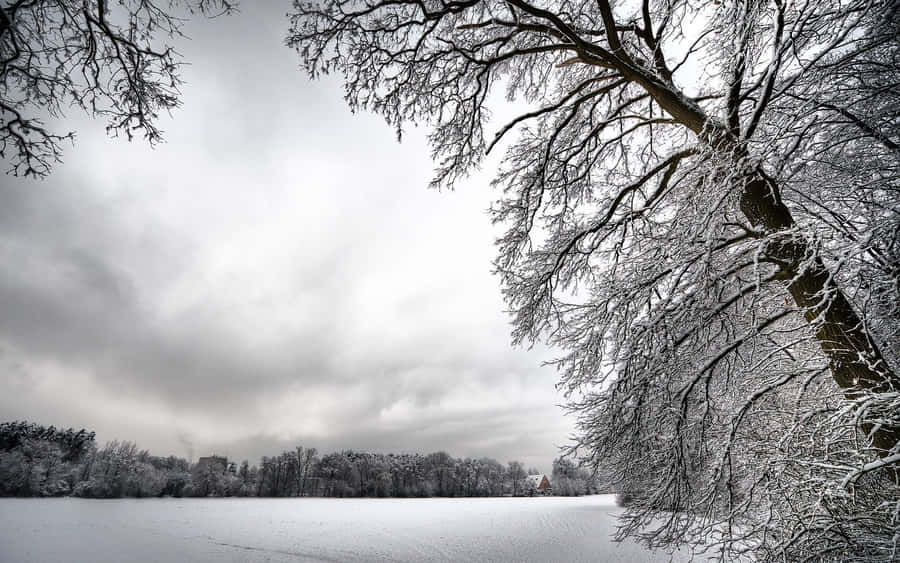 Enjoy A Tranquil Winter Landscape With This Winter Scenery Desktop Wallpaper Wallpaper
