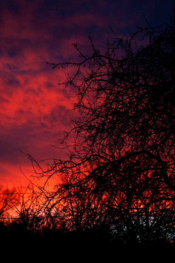 Enjoy The Amazing Colors Of Sunset Wallpaper