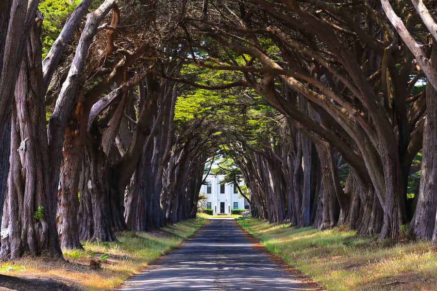 Enjoy The Beauty Of Nature In Cool Places! Wallpaper