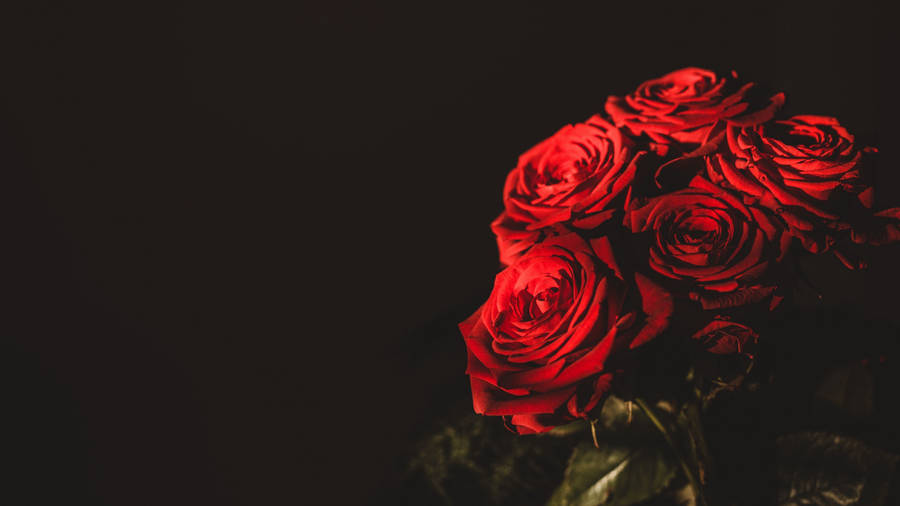 Enjoy The Beauty Of Roses On Your Desktop Wallpaper
