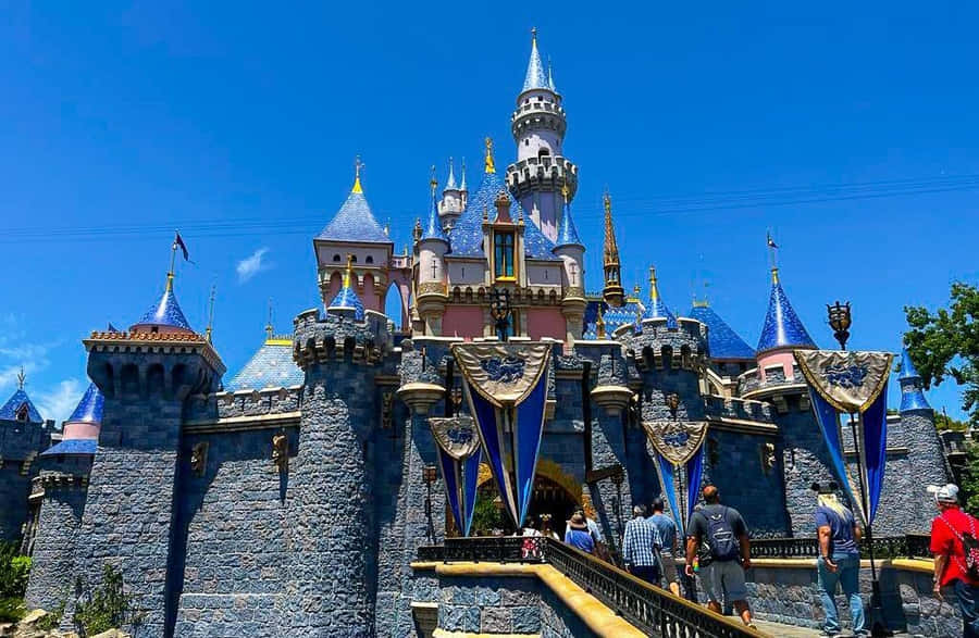 Enjoy The Beauty Of The Blue Bayou Wallpaper