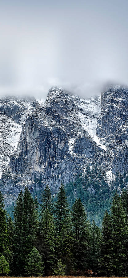 Enjoy The Beauty Of Yosemite On Your Iphone Wallpaper