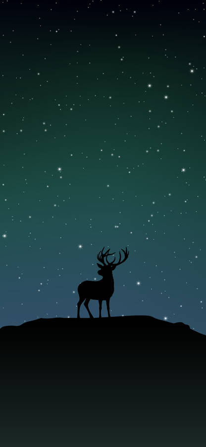 Enjoy The Graceful Beauty Of Deer With This Iphone Wallpaper. Wallpaper