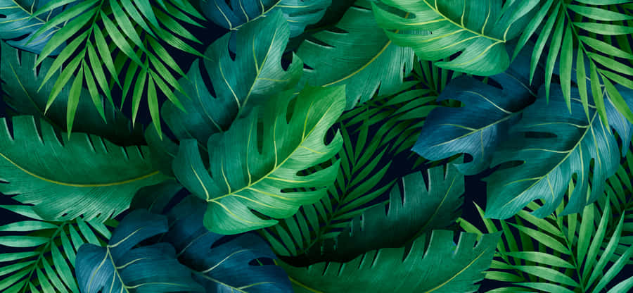 Enjoy The Lush Beauty Of Tropical Leaves Wallpaper