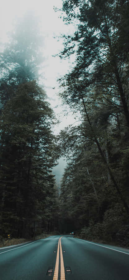 Enjoy The Nature On Your Phone's Screen Wallpaper