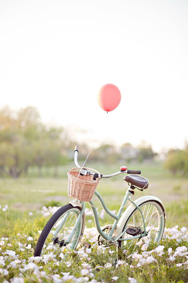 Enjoy The Outdoors With Your Bicycle And Iphone Wallpaper