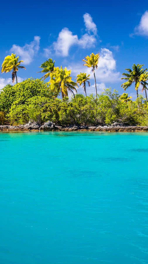 Enjoy The Peaceful Beauty Of A Retro Beach. Wallpaper