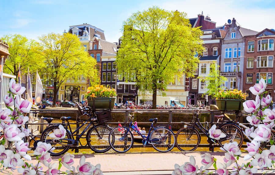 Enjoy The Picturesque And Vibrant Amsterdam During The Idyllic Springtime Wallpaper