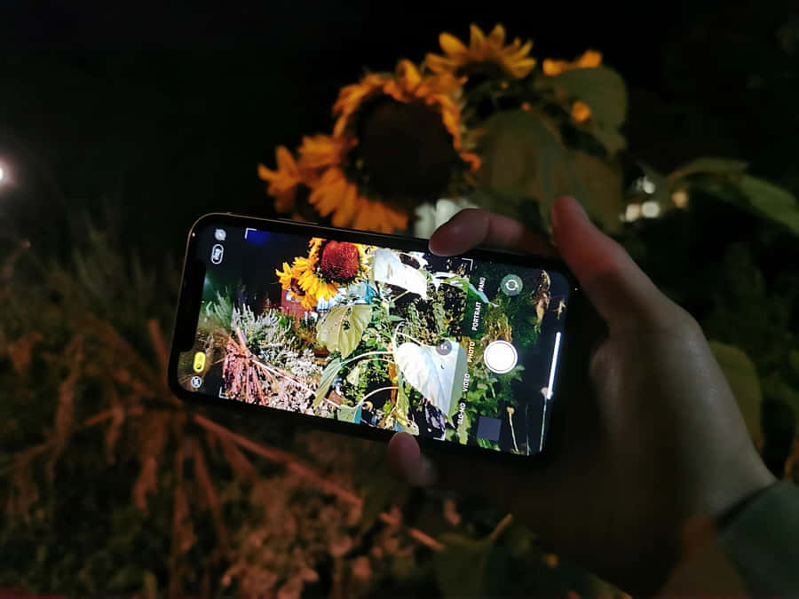 Enjoy The Stars And Nature, Even In Night Mode Wallpaper