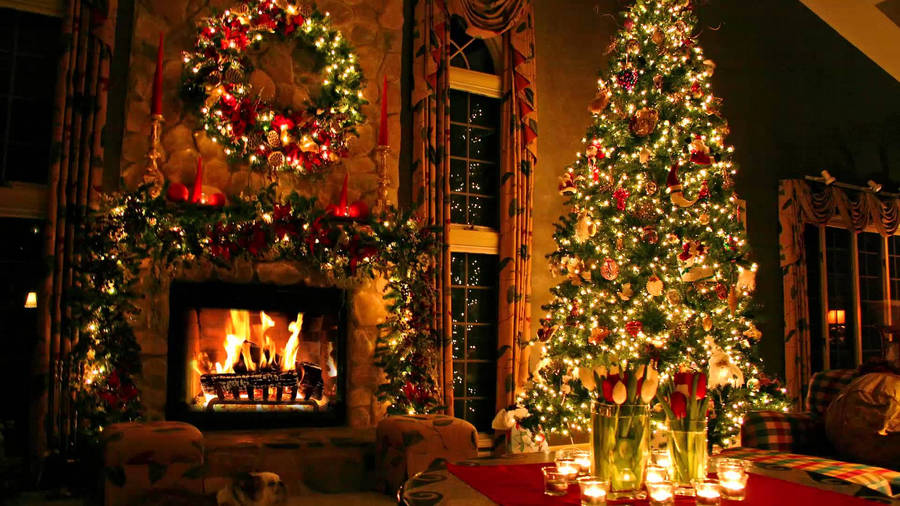 Enjoy The Warmth Of A Cozy Christmas With A Twinkly Tree. Wallpaper