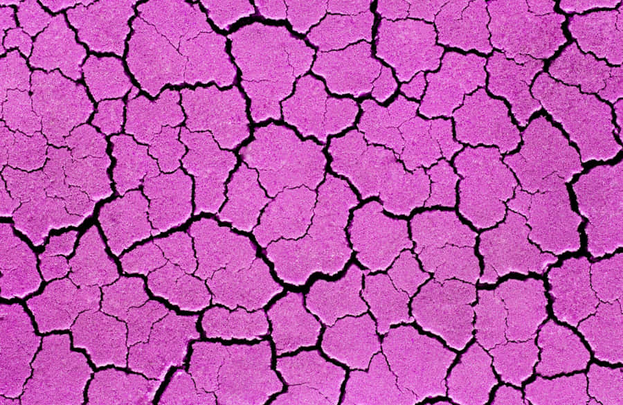 Enjoying A Beautiful Beach Sunset Wallpaper