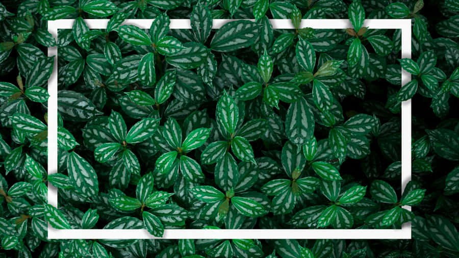 Enjoying A View Of The City Wallpaper