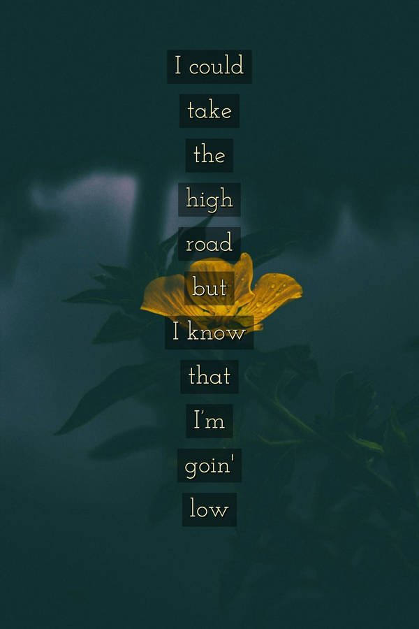 Enjoying The Lyrics Of Twenty One Pilots Song 