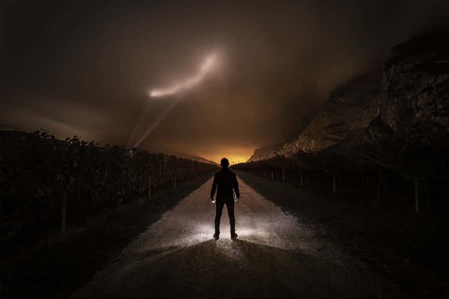 Enjoying The Morning Breeze Wallpaper