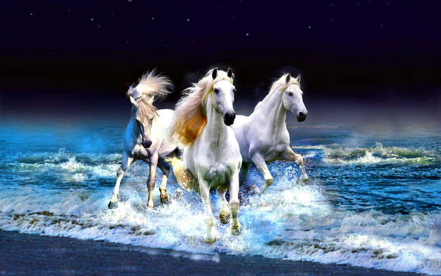 Enjoying The Tide - Horses On The Beach Wallpaper