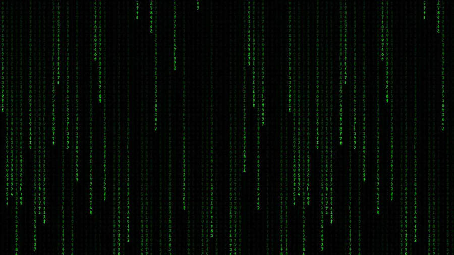 Enter The Matrix Wallpaper