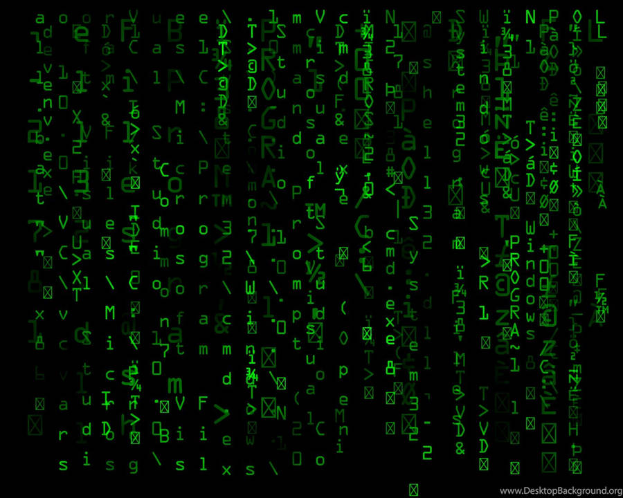 Enter The Matrix Wallpaper