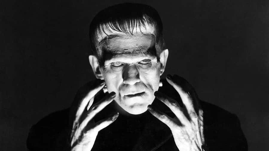 Epic Gathering Of Universal Monsters Wallpaper