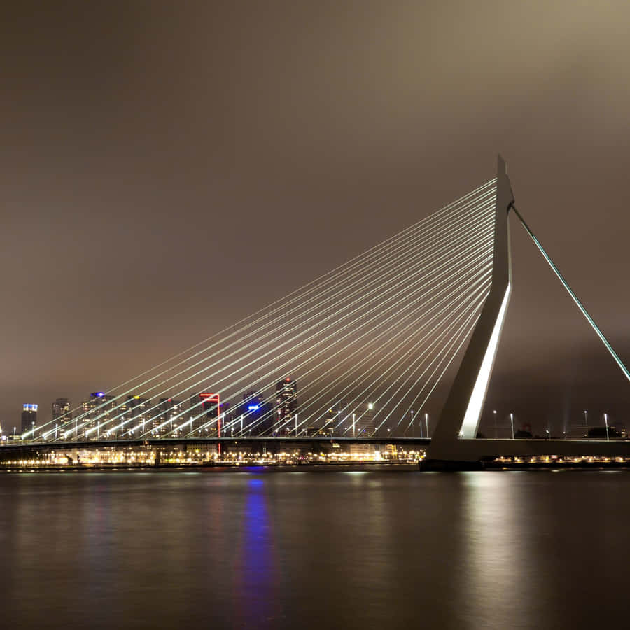 Erasmus Bridge Night Lights Wallpaper