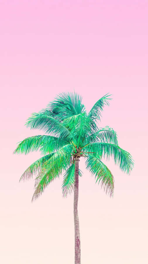 Escape To Paradise In An Aesthetic Tropical Oasis Wallpaper