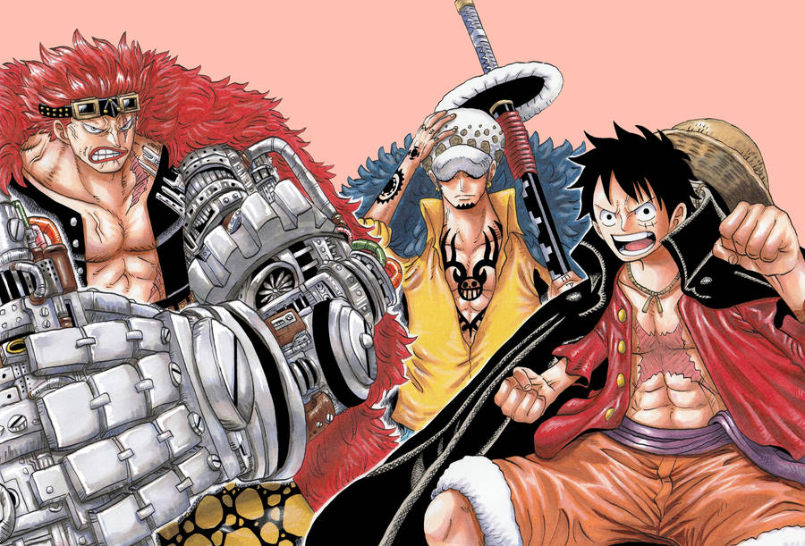 Eustass Kid Law Luffy Color Scheme Wallpaper