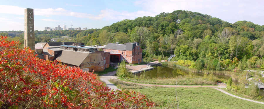 Evergreen Brick Works Autumn Scenery Wallpaper