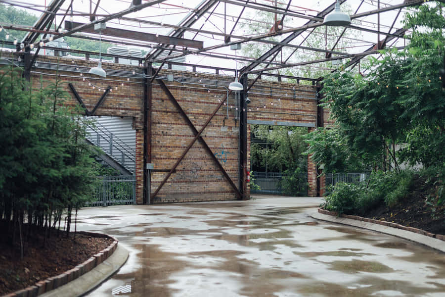 Evergreen Brick Works Industrial Greenhouse Wallpaper