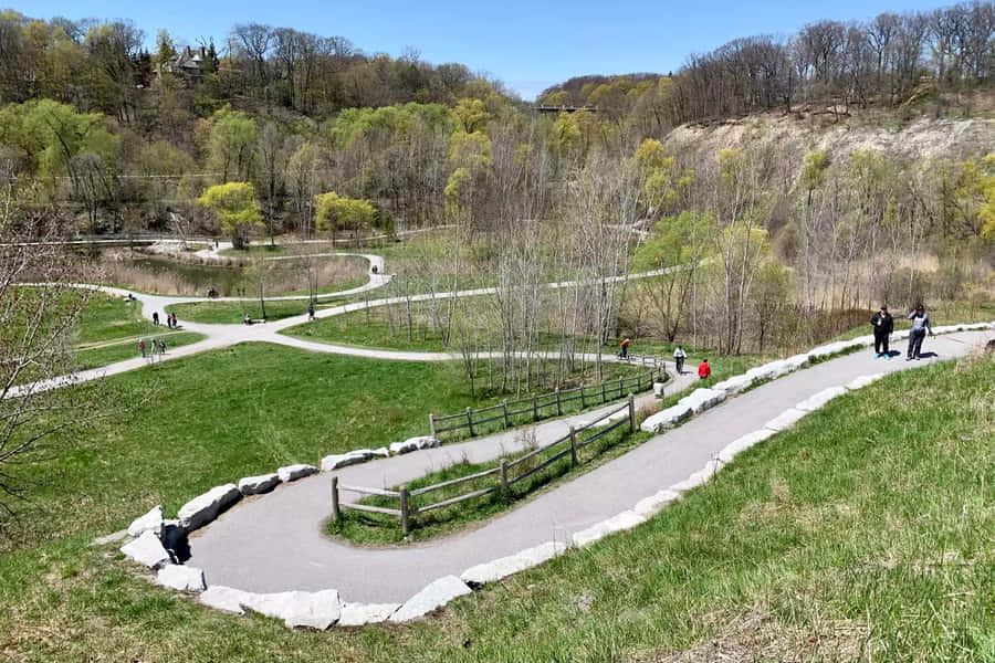 Evergreen Brick Works Park Pathways Wallpaper